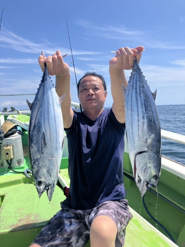 ホンガツオ(カツオ)