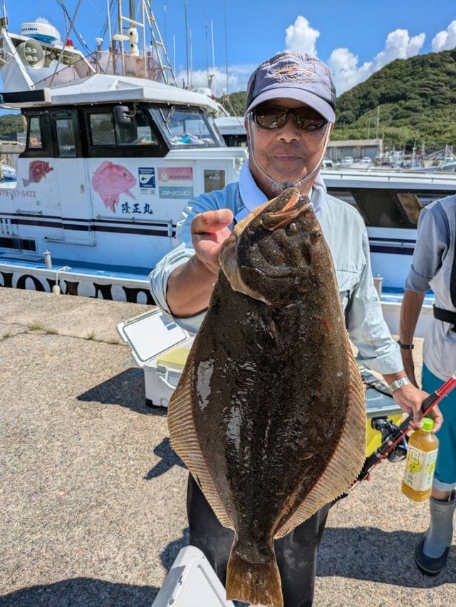 ヒラメ