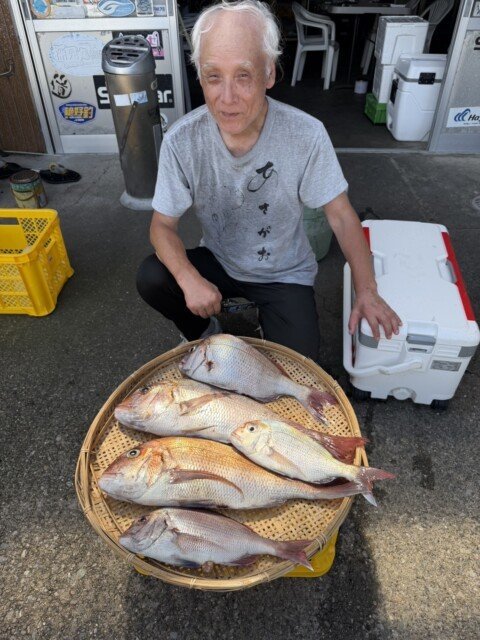 マダイ