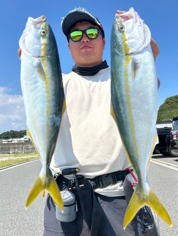 イナダ(ブリ)