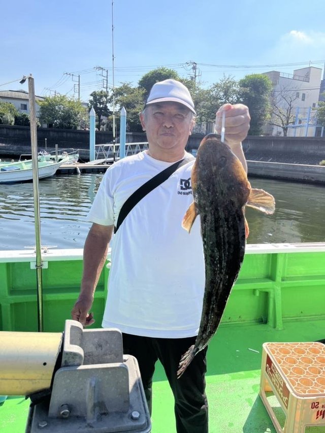 マゴチ