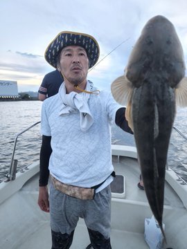 マゴチ