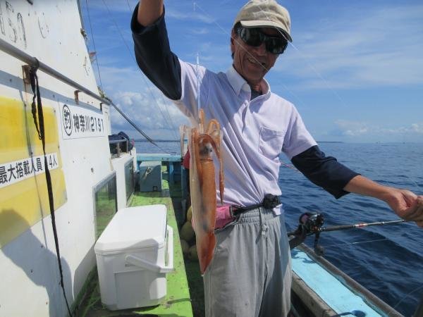 スルメイカ