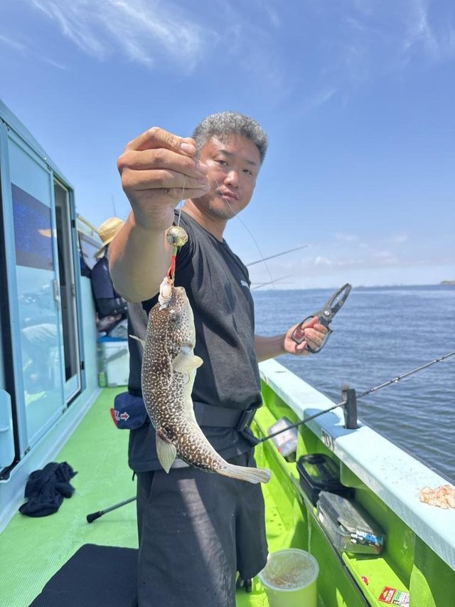 フグ(ショウサイフグ)
