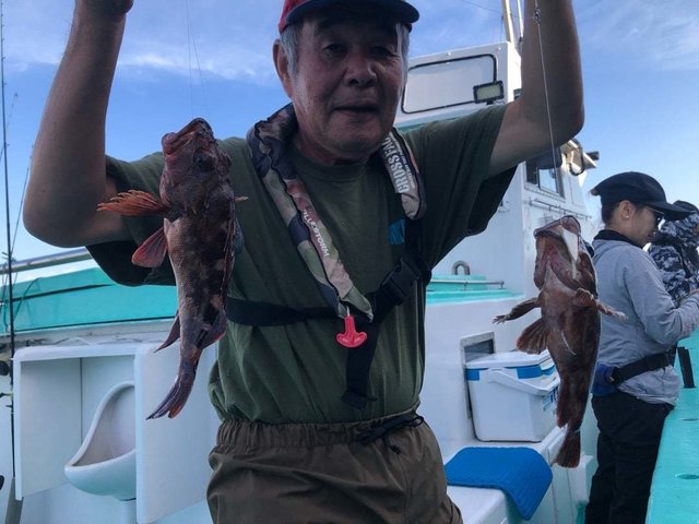 カサゴ
