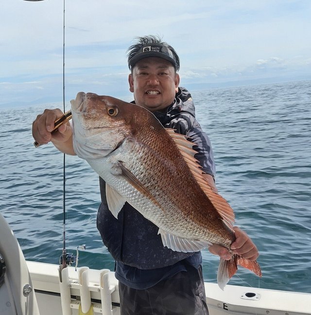 マダイ