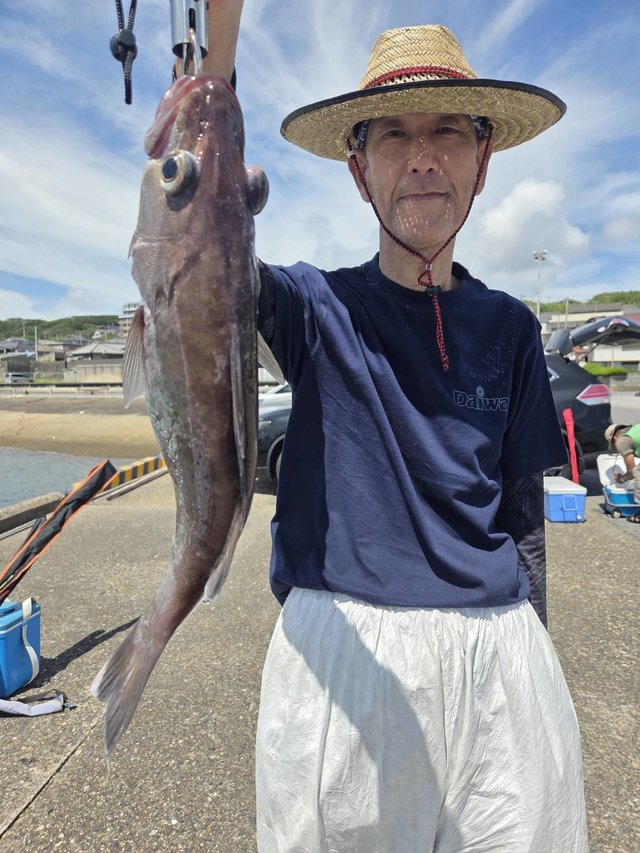 アラ