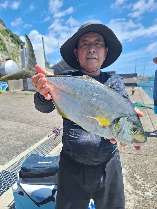 シマアジ