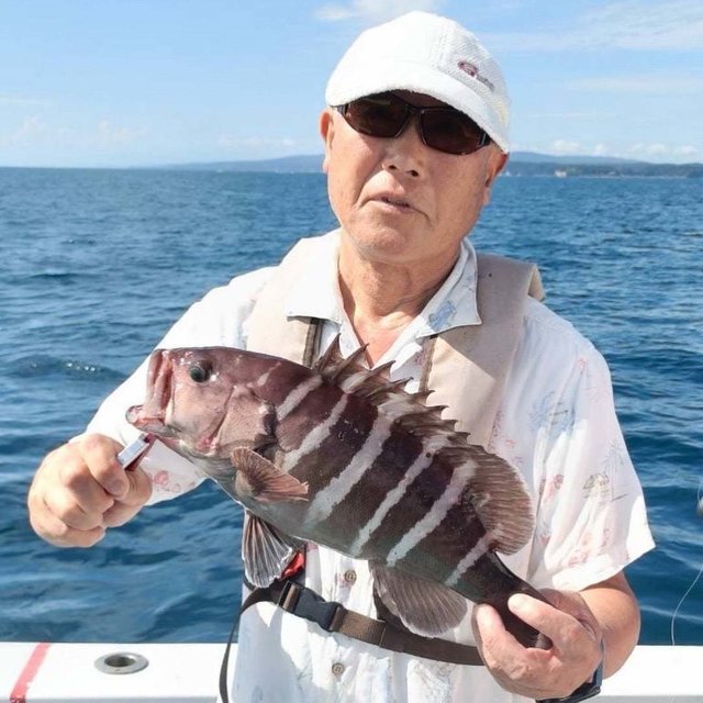 マハタ