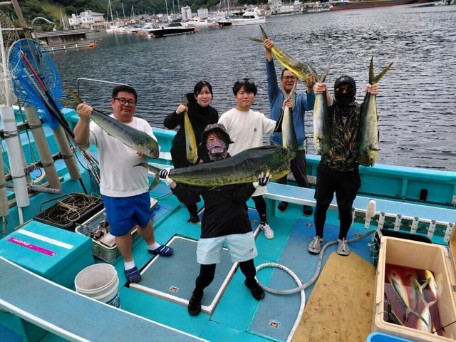 シイラ