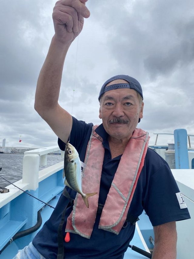 アジ(マアジ)