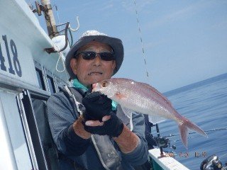 ヒメダイ