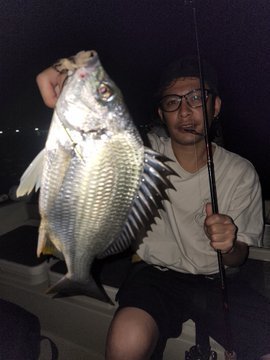 クロダイ