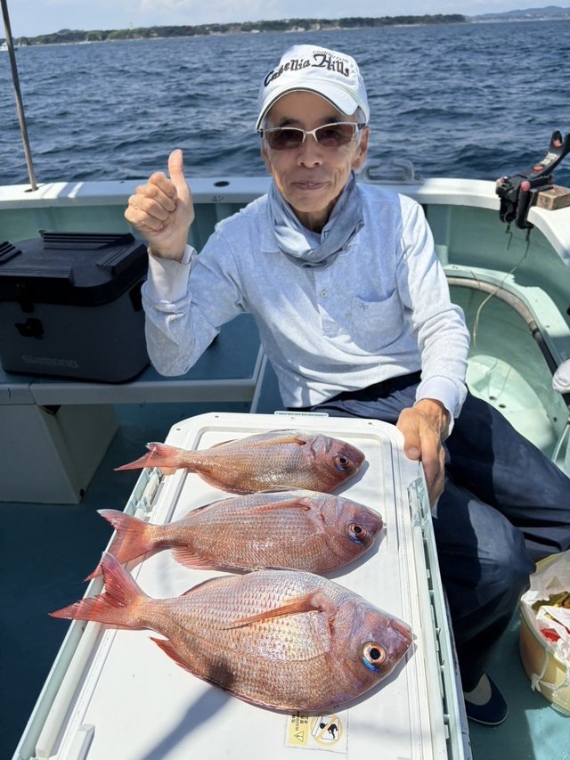マダイ
