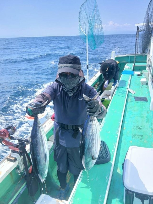 カツオ