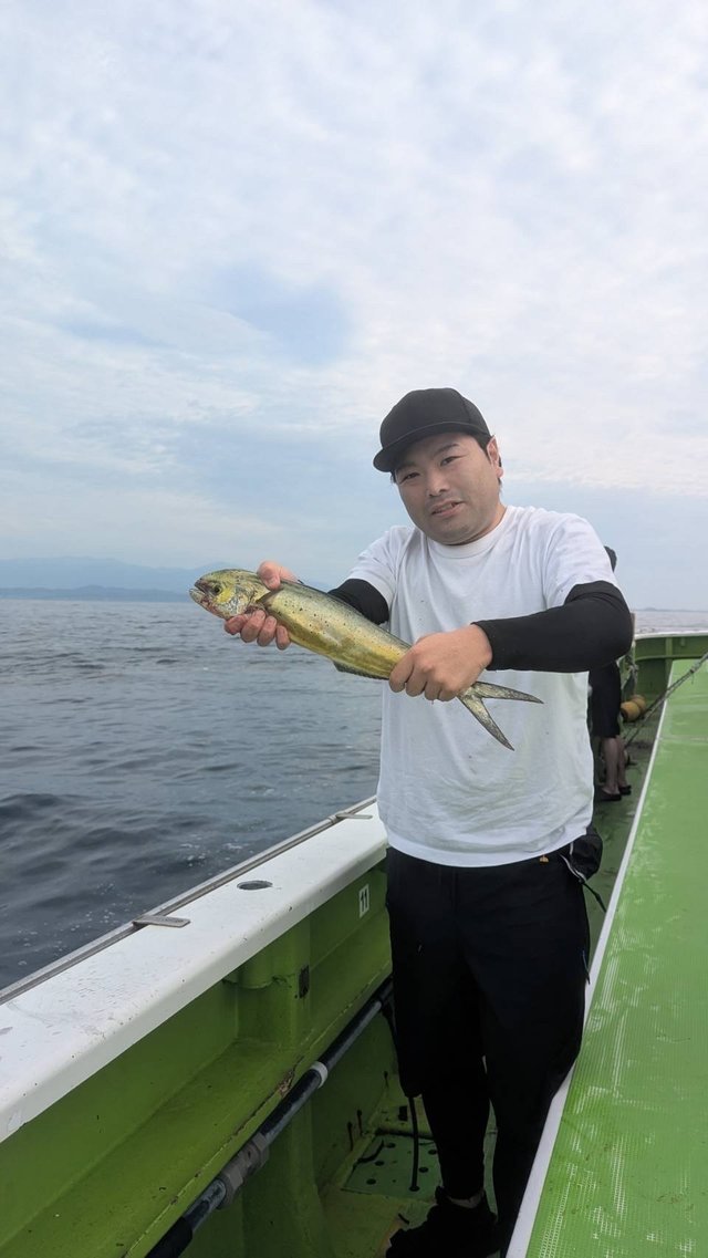シイラ