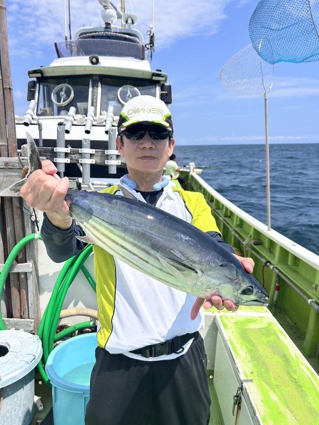 カツオ