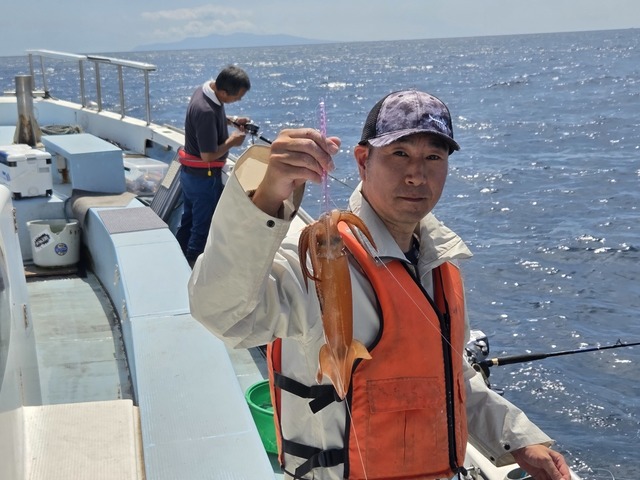 スルメイカ
