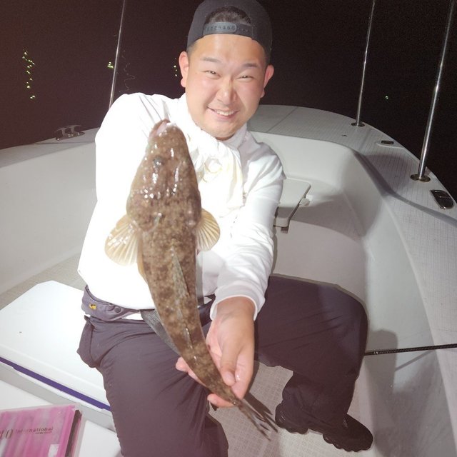 マゴチ