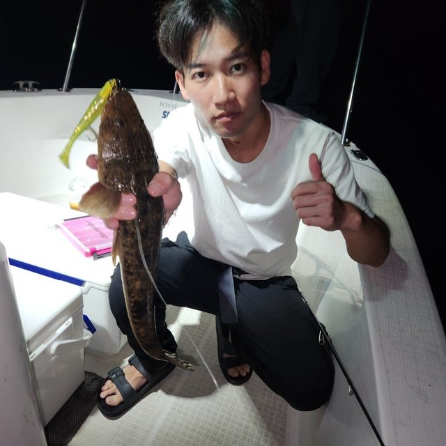 マゴチ