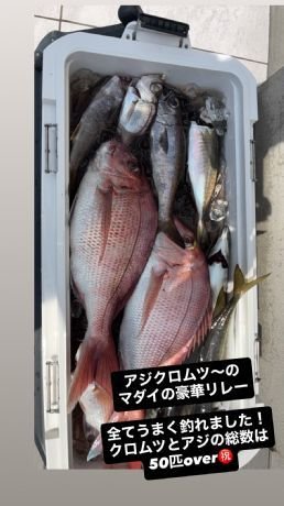 マダイ・アジ(マアジ)・クロムツ