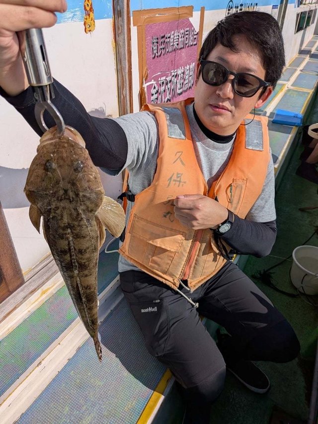 マゴチ