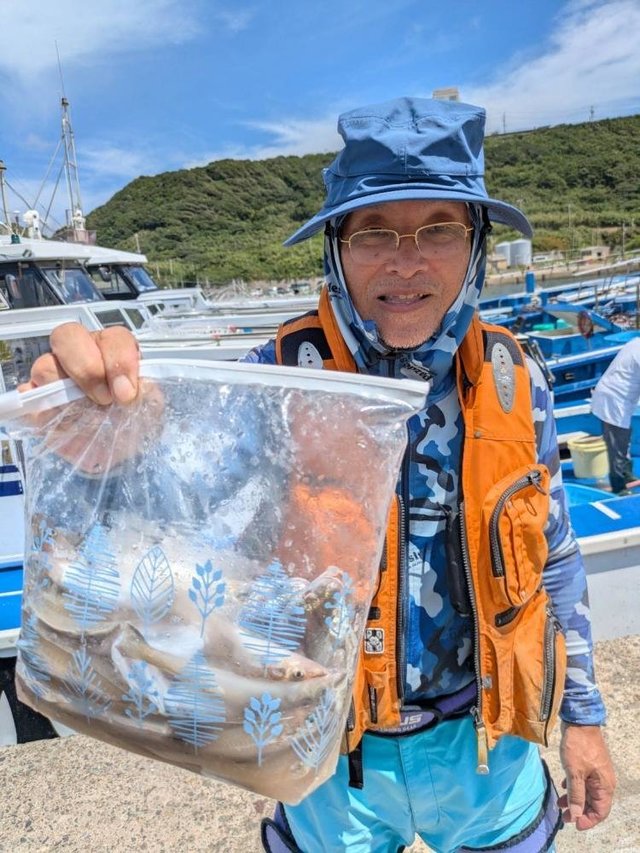 シロギス