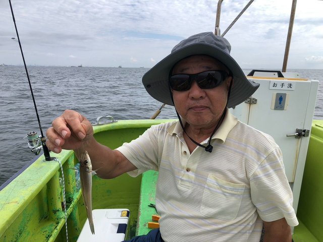 シロギス