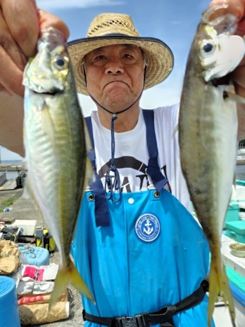 アジ(マアジ)
