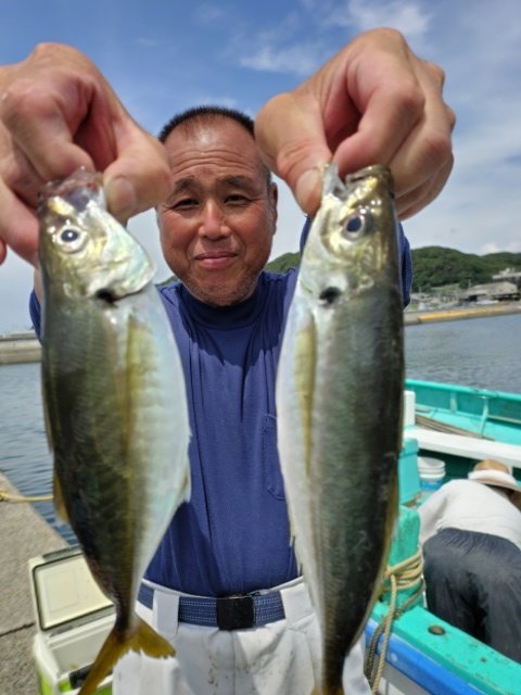アジ(マアジ)