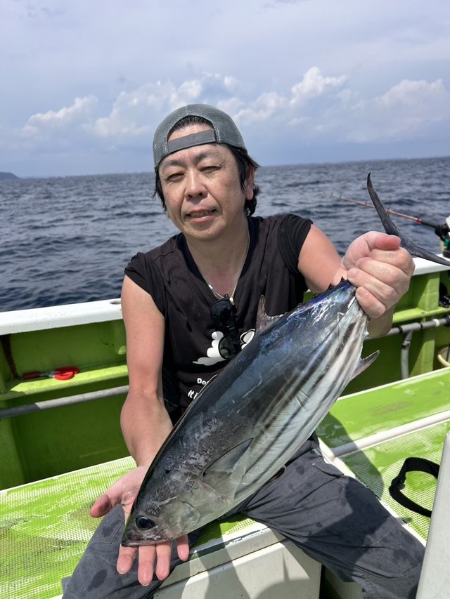 カツオ