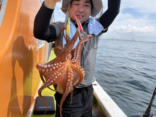 タコ(マダコ)