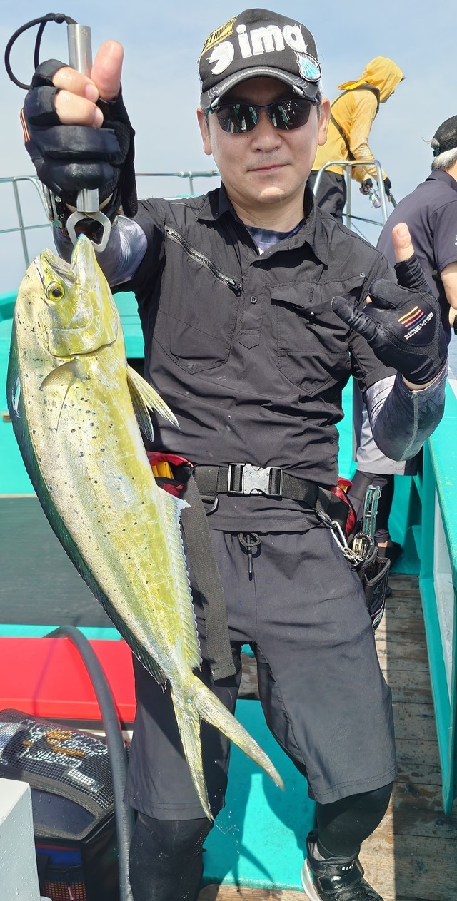 シイラ