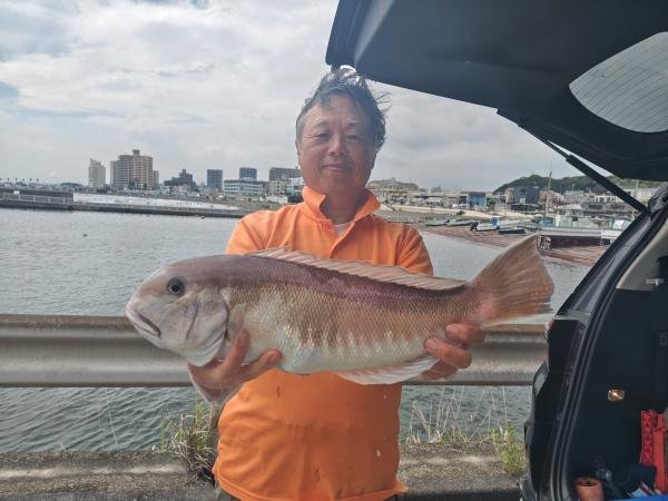 シロアマダイ