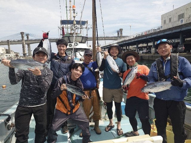 キメジ(キハダ)・カツオ