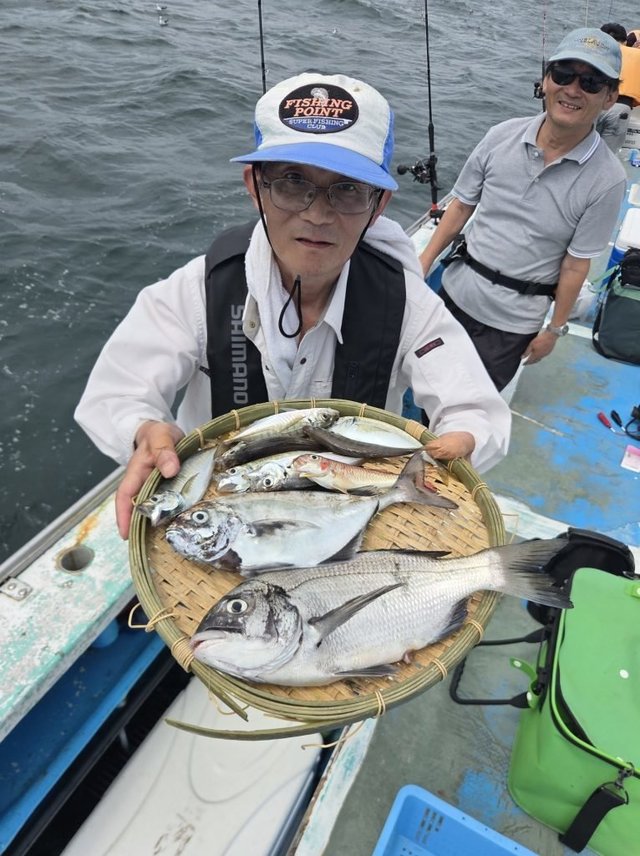 アジ(マアジ)