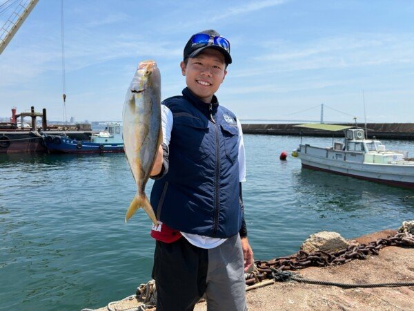 ハマチ(ブリ)