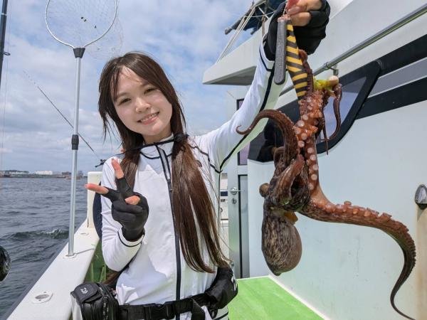 マダコ