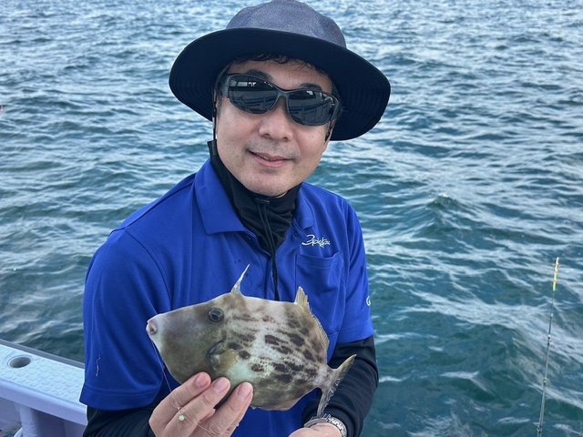 カワハギ
