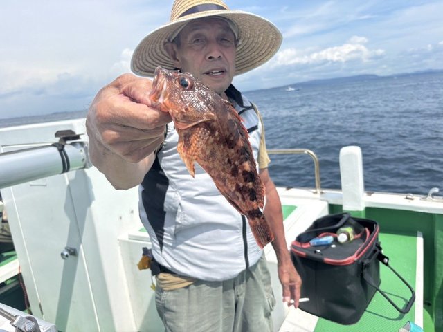 カサゴ