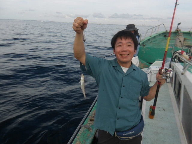 シロギス