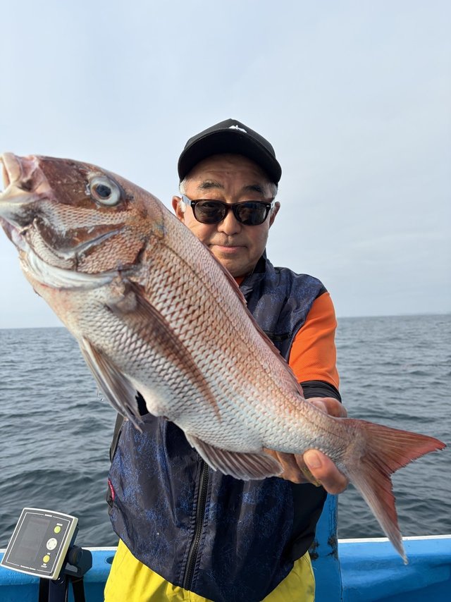 マダイ