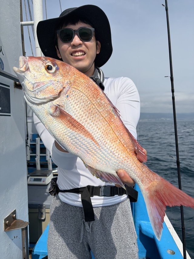 マダイ