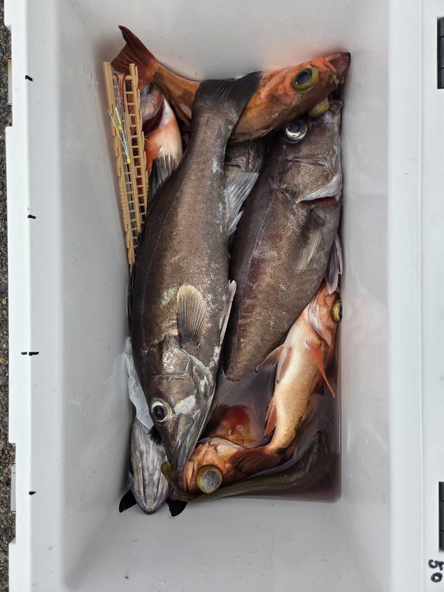 アラ
