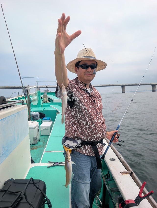 シロギス