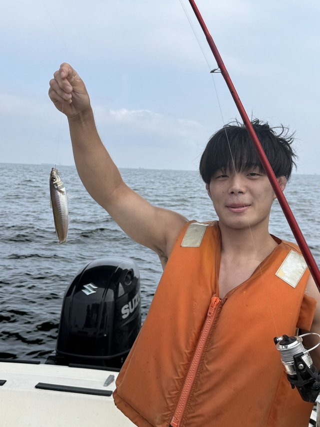 シロギス