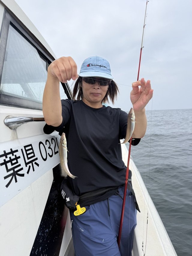 シロギス