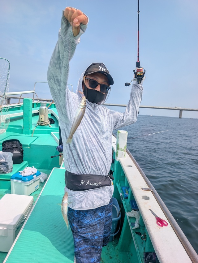 シロギス