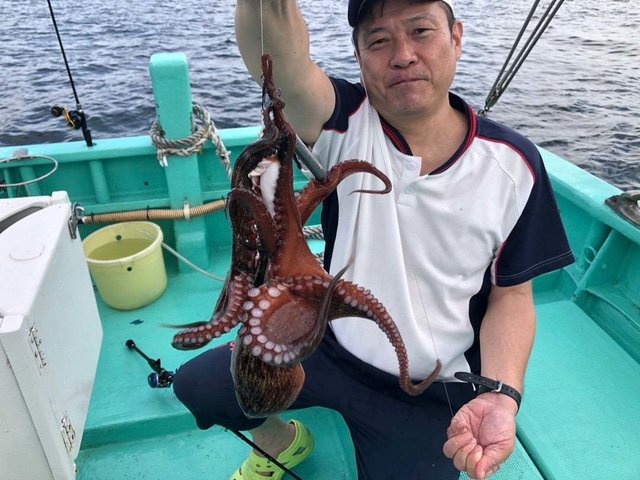 タコ(マダコ)