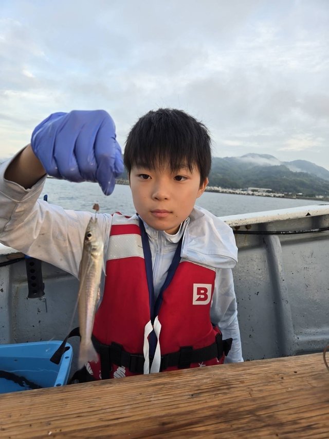 シロギス